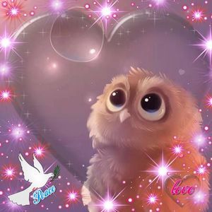 Meet your Posher, Deedria